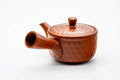 Japanese Kyusu - Scaled Tokoname-yaki Mesh Teapot - 240ml - front view with the spout pointing left