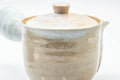 Japanese Kyusu - Beige White Glazed Hagi-yaki Do-ake Teapot - 250ml - Tezumi