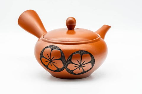 K619 Japanese Kyusu -  - 300ml - Tezumi