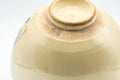 Japanese Matcha Bowl - Beige Blue Cat Kyo-yaki Chawan - 350ml - Tezumi