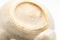 Japanese Kyusu - Beige White Glazed Hagi-yaki Do-ake Teapot - 250ml - Tezumi