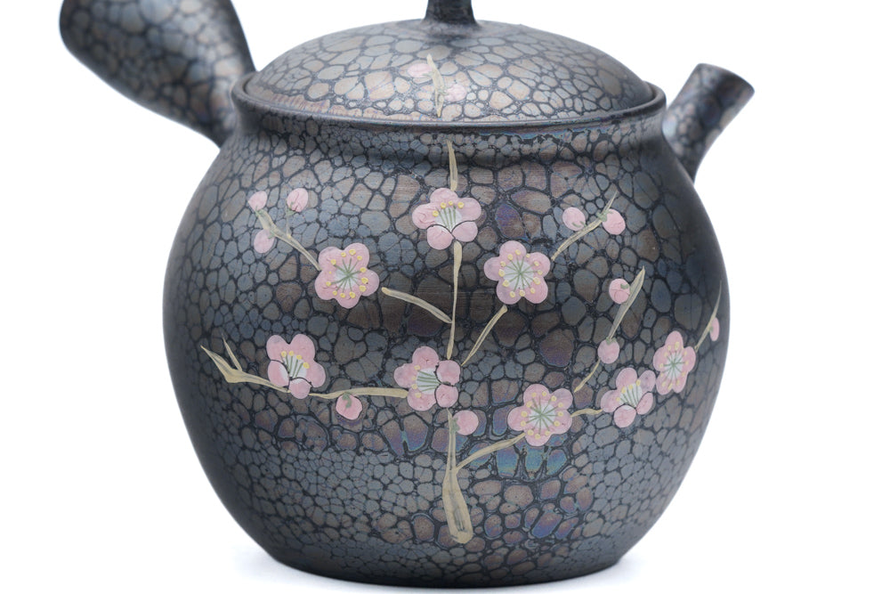 Plum Blossom Tenmoku Tokoname Kokudei Teapot - Thumbnail 3