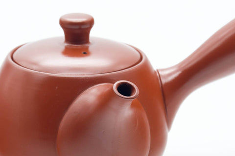 Tezumi — Japanese Kyusu - Smooth Unglazed Dark Red Shudei Tokoname-yaki Mesh Filter Teapot - 290ml — closeup of the decoration