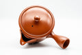 Tezumi — Japanese Kyusu - Plum Blossom Engraved Tokoname-yaki Mesh Teapot - 300ml — interior view showing the filter