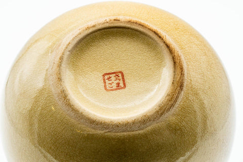 Japanese Kyusu - Beige Weathered Kutani-yaki Ceramic Teapot - 300ml