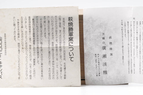 Japanese Matcha Bowl - 廣瀬淡雅 Tamasa Hirose - Milky Hagi-yaki Chawan - 300ml