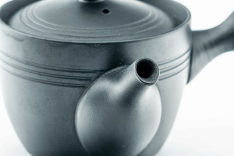 Three-quarter view showing the spout, lid on.