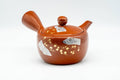 Tezumi — Japanese Kyusu - Gold White Floral Tokoname-yaki Mesh Teapot - 200ml — side view with the lid and side handle