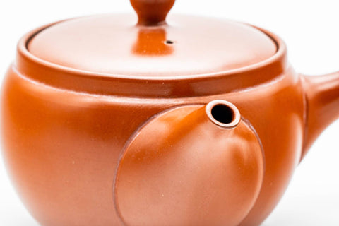 Japanese Kyusu - Classic Red Shudei Tokoname-yaki Mesh Teapot - 350ml