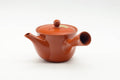 Tezumi — Japanese Kyusu - Painted Plum Blossom Tokoname-yaki Mesh Filter Teapot - 200ml — side view showing the spout