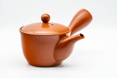 Tezumi — Japanese Kyusu - Classic Red Shudei Tokoname-yaki Mesh Teapot - 275ml — side view with the lid and side handle