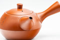 Tezumi — Japanese Kyusu - Calligraphy Engraved Tokoname-yaki Debeso Teapot - 280ml — closeup of the decoration