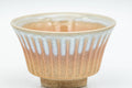 Japanese Teacup - 天鵬山 Tsubaki Kiln - Groovy Hagi-yaki Yunomi - 70ml - Tezumi