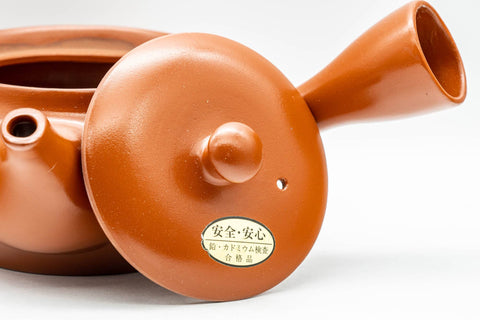 Japanese Kyusu - Red Shudei Tokoname-yaki Mesh Teapot - 300ml