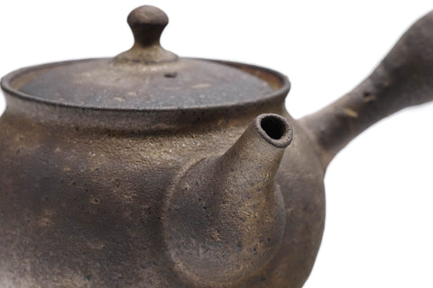 Rustic Kurokinsai Tokoname Teapot - 270ml