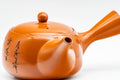 Japanese Kyusu - Kanji Engraved Tokoname-yaki Mesh Teapot - 400ml - Tezumi