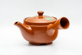 Japanese Kyusu - Yellow Flowers Tokoname-yaki Mesh Teapot - 400ml - front view with the spout facing forward
