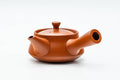Front three-quarter view showing the smooth reddish-brown body and spout.
