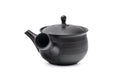 Spiraling benishibori Tokoname teapot, front view showing the spout