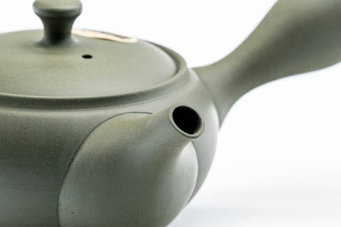 Camellia Painted Ryokudei Tokoname Teapot - 220ml