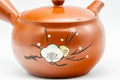 Japanese Kyusu - Plum Blossom Tokoname-yaki Teapot with Mesh Strainer - 350ml - Tezumi