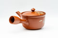 Tezumi — Japanese Kyusu - Floral Tokoname-yaki Mesh Teapot - 230ml — side view showing the spout
