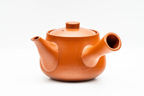 Japanese Kyusu - Bamboo Engraved Red Shudei Tokoname-yaki Ceramic Filter Teapot - 315ml - opposite-side three-quarter view