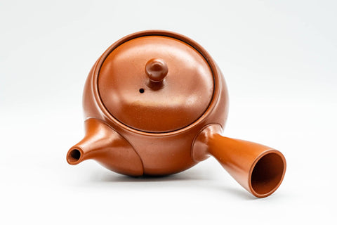 Japanese Kyusu - Plum Blossom Tokoname-yaki Teapot with Mesh Strainer - 350ml - Tezumi