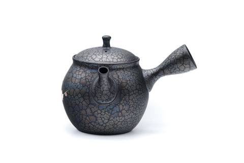 Plum Blossom Tenmoku Tokoname Kokudei Teapot - 260ml