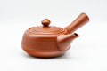 K616 Japanese Kyusu -  - 220ml - Tezumi