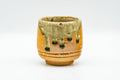 Japanese Teacup - Orange Green Drip-Glazed Shigaraki-yaki Yunomi - front view of the cup