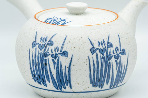 Japanese Tea Set - Blue Floral White Matte Glazed Arita-yaki Debeso Kyusu Teapot with 5 Yunomi Teacups - Tezumi