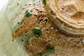 Closeup of the foot and stone-flecked clay base of the Shigaraki chawan