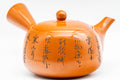 Japanese Kyusu - Kanji Engraved Tokoname-yaki Mesh Teapot - 400ml - Tezumi