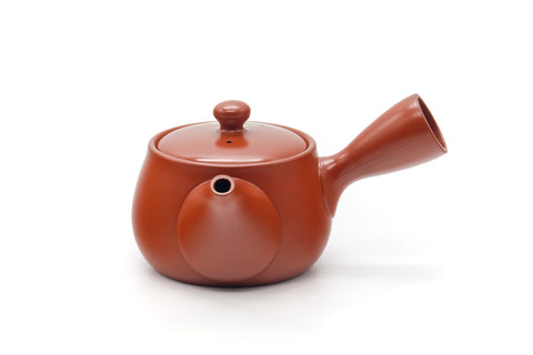 Tezumi — Japanese Kyusu - Long Grass Engraved Tokoname Mesh Teapot - 340ml — three-quarter view from the opposite side