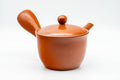 Tezumi — Japanese Kyusu - Classic Red Shudei Tokoname-yaki Mesh Teapot - 275ml — three-quarter view from the opposite side