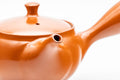 Japanese Kyusu - Classic Red Shudei Tokoname-yaki Mesh Teapot - 290ml - Tezumi