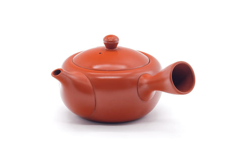 Tezumi — Japanese Kyusu - Long Grass Engraved Tokoname Mesh Teapot - 310ml — three-quarter view from the opposite side