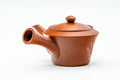 Three-quarter view of the teapot with the spout angled forward.
