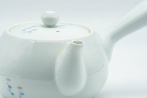 K661 Japanese Kyusu -  - 240ml - Tezumi