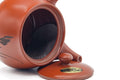 Tezumi — Japanese Kyusu - Long Grass Engraved Tokoname Mesh Teapot - 340ml — side profile showing the spout and handle