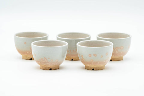 Japanese Tea Set - 天鵬山 Tsubaki Kiln - Hagi-yaki Kyusu Teapot with 5 Yunomi Teacups