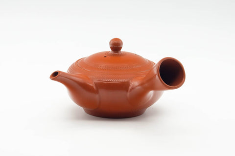Japanese Kyusu - Engraved Leaves Tokoname-yaki Mesh Filter Teapot - 200ml