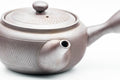 Tezumi — Japanese Kyusu - Engraved Banko-yaki Obi-ami 360 Strainer Teapot - 325ml — closeup of the decoration