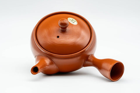 Japanese Kyusu - Classic Red Shudei Tokoname-yaki Mesh Teapot - 230ml - Tezumi