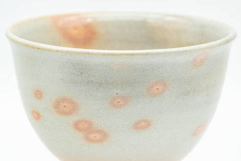 T1022 Japanese Teacup -  - 130ml - Tezumi