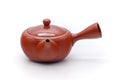 Tezumi — Japanese Kyusu - Long Grass Engraved Tokoname Mesh Teapot - 310ml — side view showing the spout