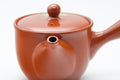 Tezumi — Japanese Kyusu - Painted Plum Blossom Tokoname-yaki Mesh Filter Teapot - 200ml — closeup of the base