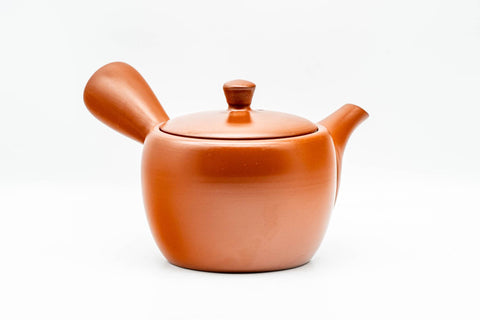 Japanese Kyusu - Classic Red Shudei Tokoname-yaki Mesh Teapot - 300ml