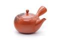 Tezumi — Japanese Kyusu - Engraved Floral Red Shudei Tokoname Mesh Teapot - 320ml — side view with the lid and side handle